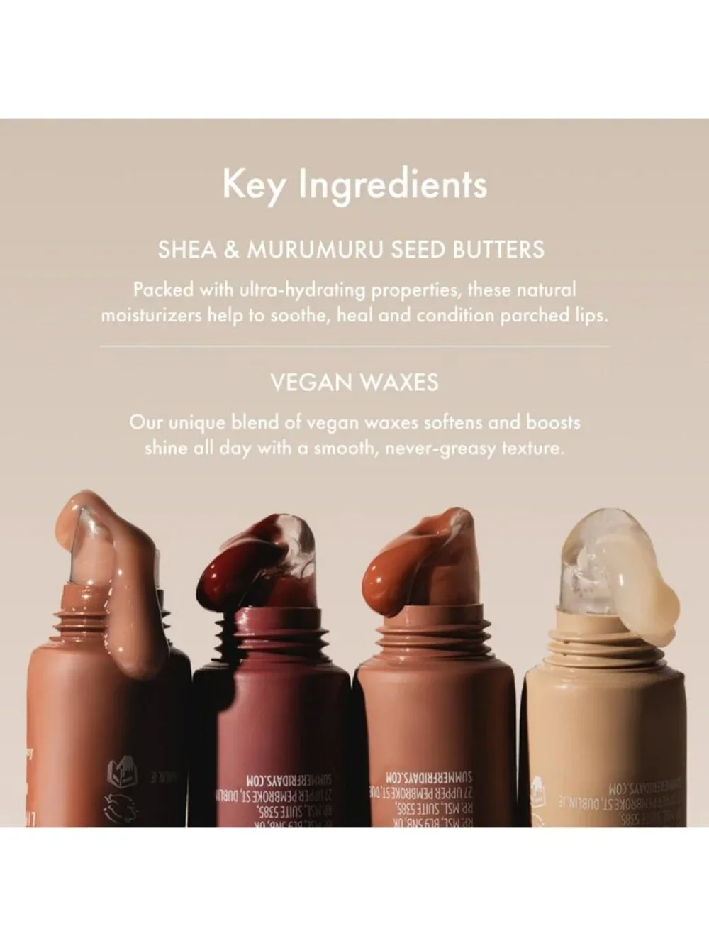 Vegan Tinted Lip Balm Gift Set - Hydrating & Soothing Moisture Duo (2 Count)